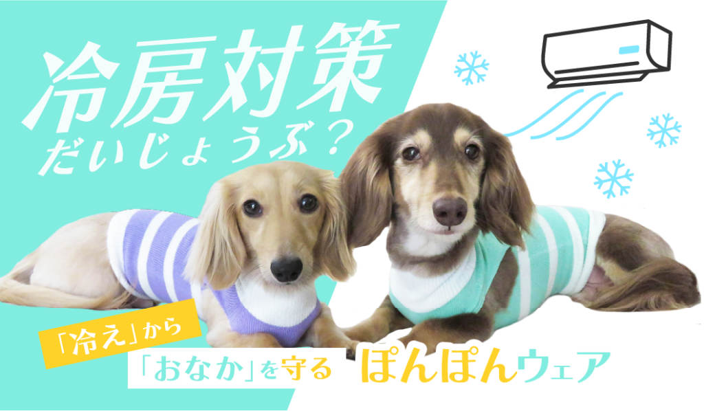 犬に服は本当に必要なの？