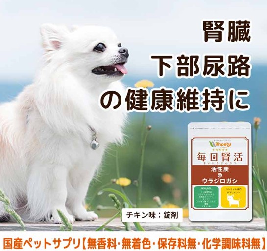 毎日腎活 活性炭＆ウラジロガシ