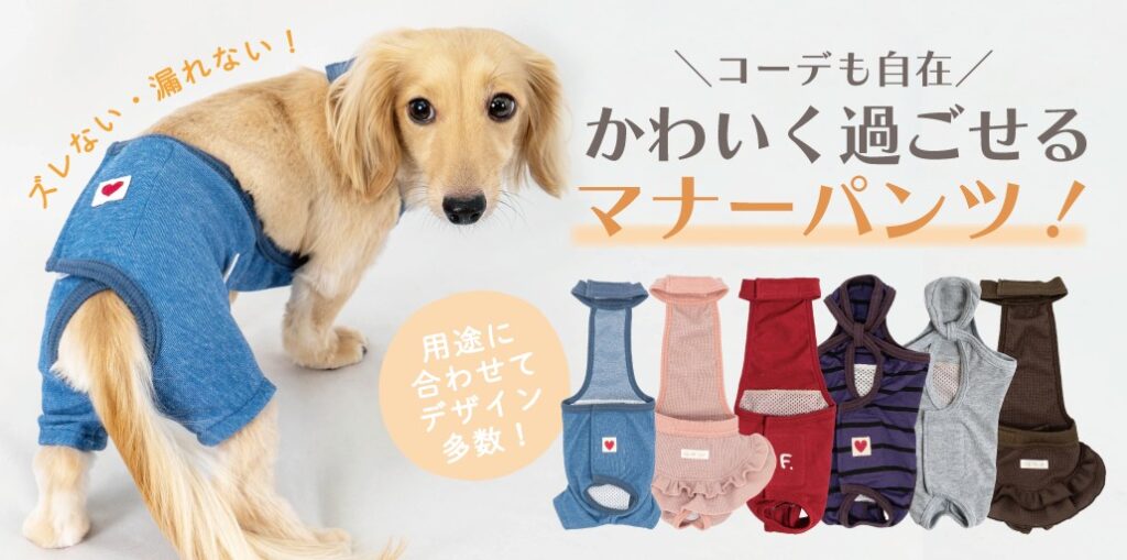 マナーウェア・オムツの活用方法
