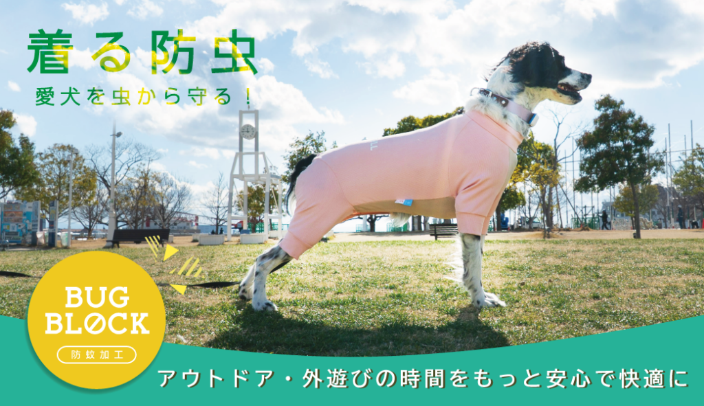 犬に洋服を着せるメリット