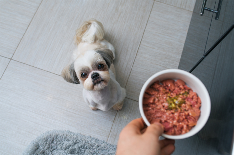 犬のて作りごはん