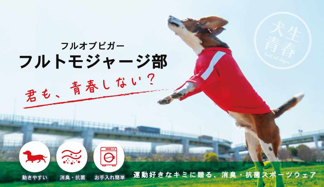 犬の衣装選び完全ガイド