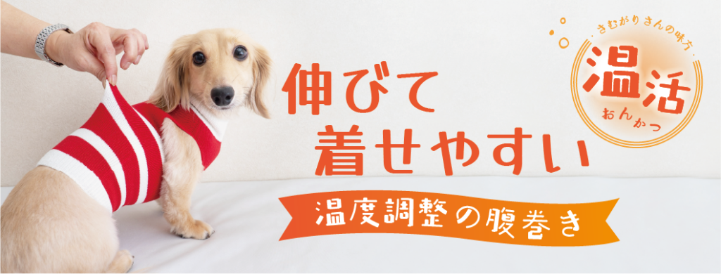 犬の洋服の選び方