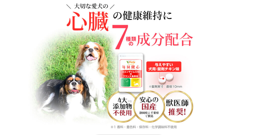 毎日健心 コエンザイムQ10＆フランス海岸松