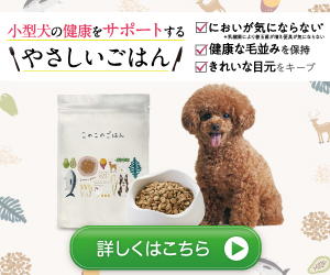 このこのごはん