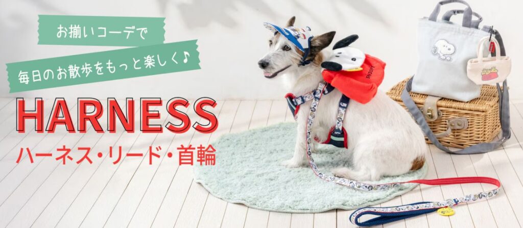 犬の首輪・ハーネス完全ガイド