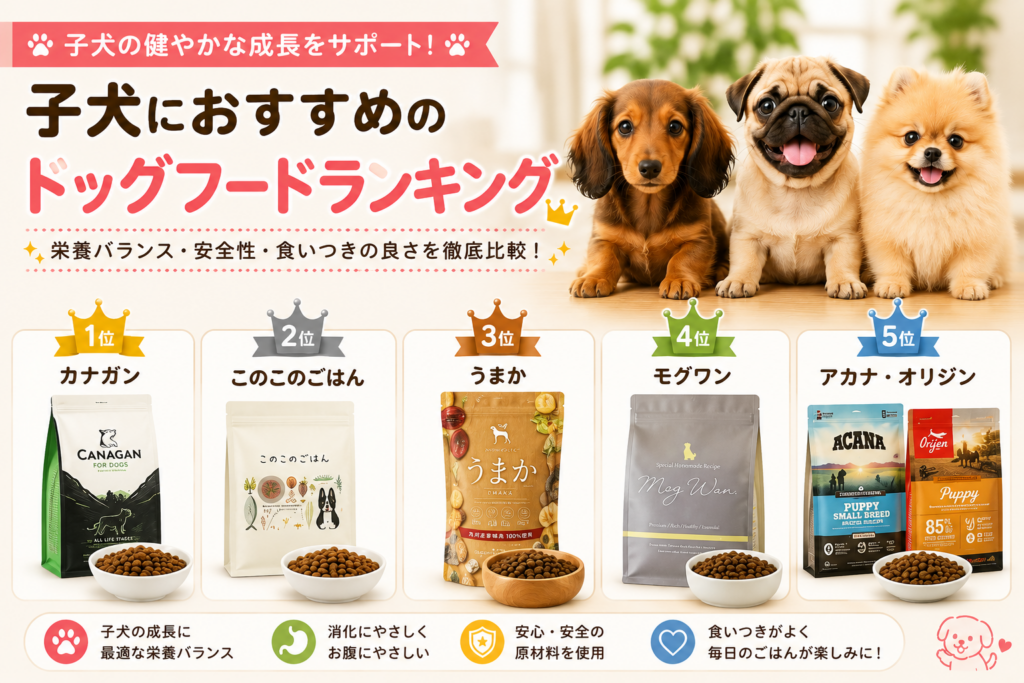 子犬におすすめのドッグフードランキング