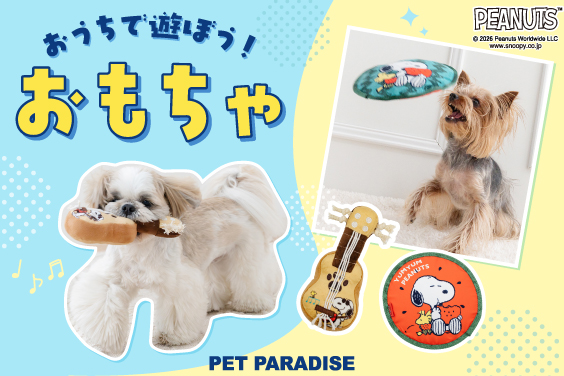 知育玩具と癒しキャラクター等心温まる雑貨【Mother garden】