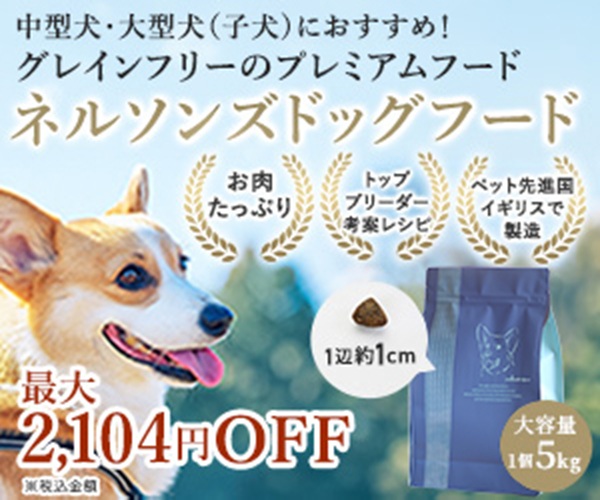 ネルソンズドッグフード
